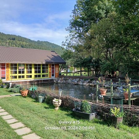 Mica Ferma Vesela Pension Câmpulung Moldovenesc Buitenkant foto