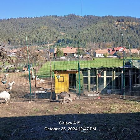 Mica Ferma Vesela Pension Câmpulung Moldovenesc Buitenkant foto