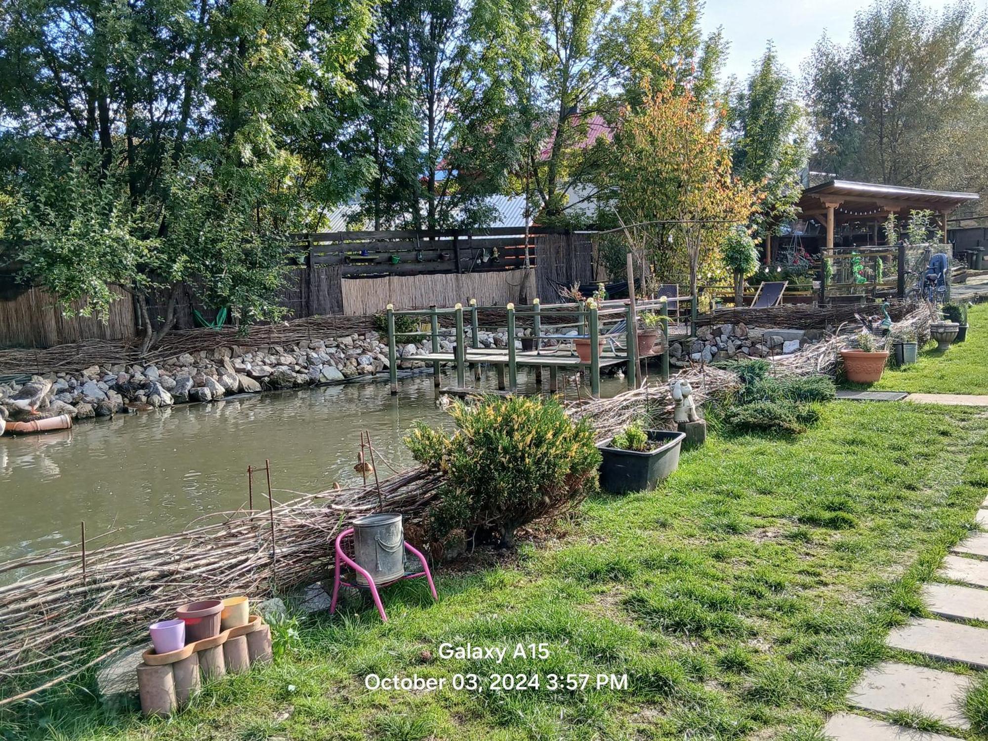 Mica Ferma Vesela Pension Câmpulung Moldovenesc Buitenkant foto